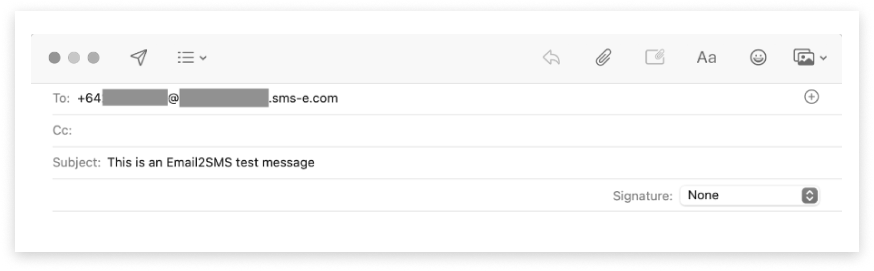 Black and white screenshot of an email provider ready to send a bulk SMS with E2S